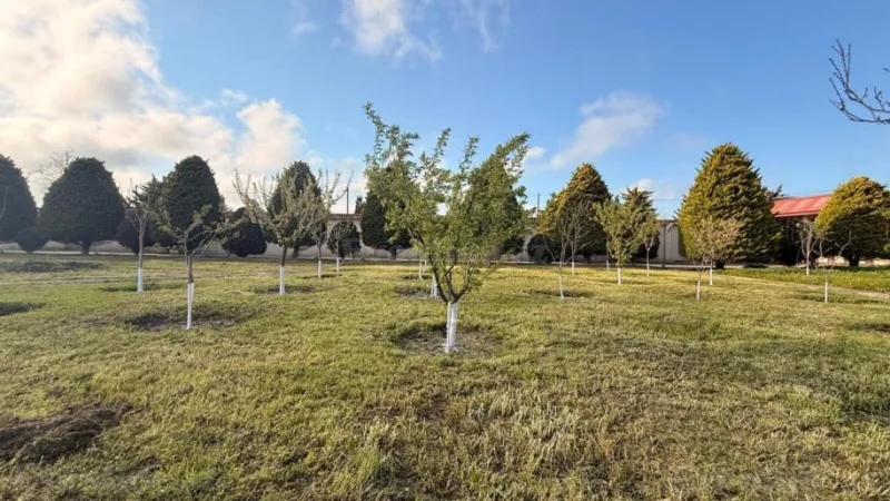 Satılır Torpaq 30 sot Xəzər r. - şəkil 8