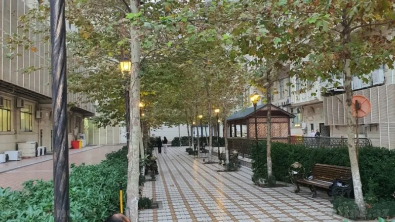 Satılır 3 otaqlı Mənzil Yeni tikili 114 m² Nəriman Nərimanov m. - şəkil 2