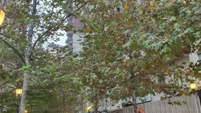 Satılır 3 otaqlı Mənzil Yeni tikili 114 m² Nəriman Nərimanov m. - şəkil 3