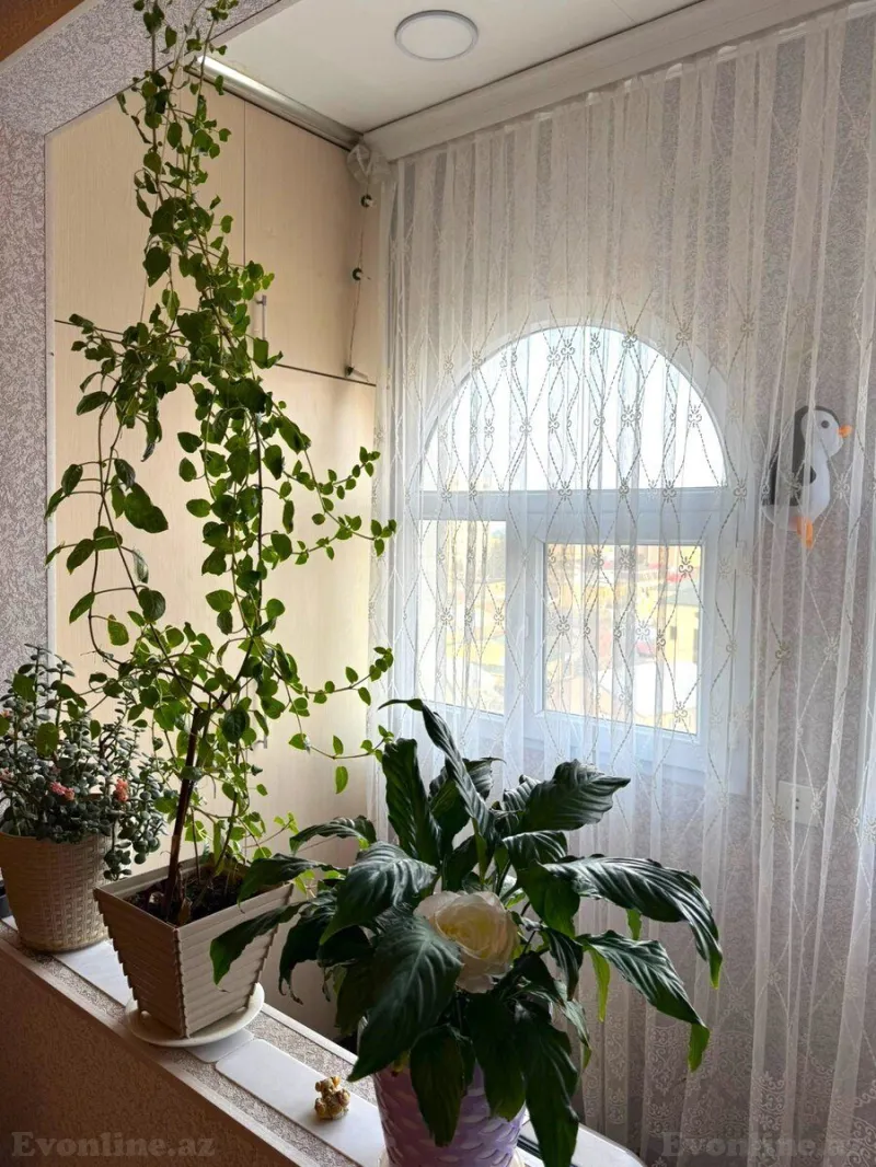 Satılır 3 otaqlı Mənzil Köhnə tikili 75 m² Qara Qarayev m. - şəkil 4