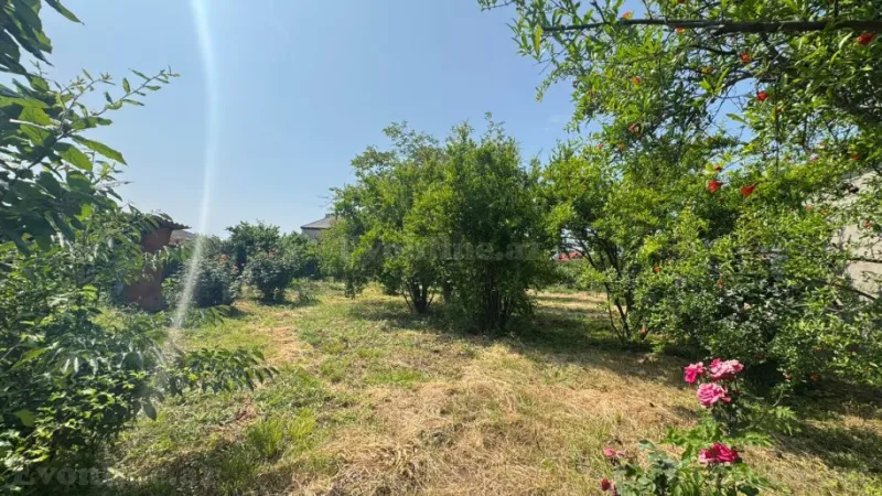 Satılır Torpaq 12 sot Xaçmaz - şəkil 2