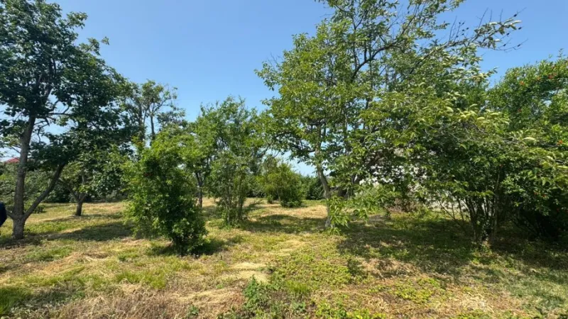 Satılır Torpaq 12 sot Xaçmaz - şəkil 3