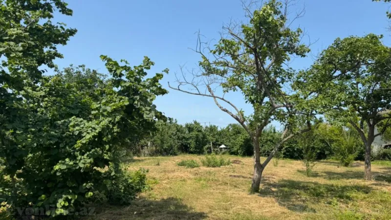 Satılır Torpaq 12 sot Xaçmaz - şəkil 4