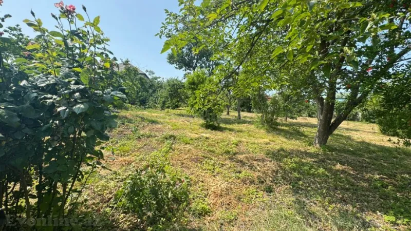 Satılır Torpaq 12 sot Xaçmaz - şəkil 6