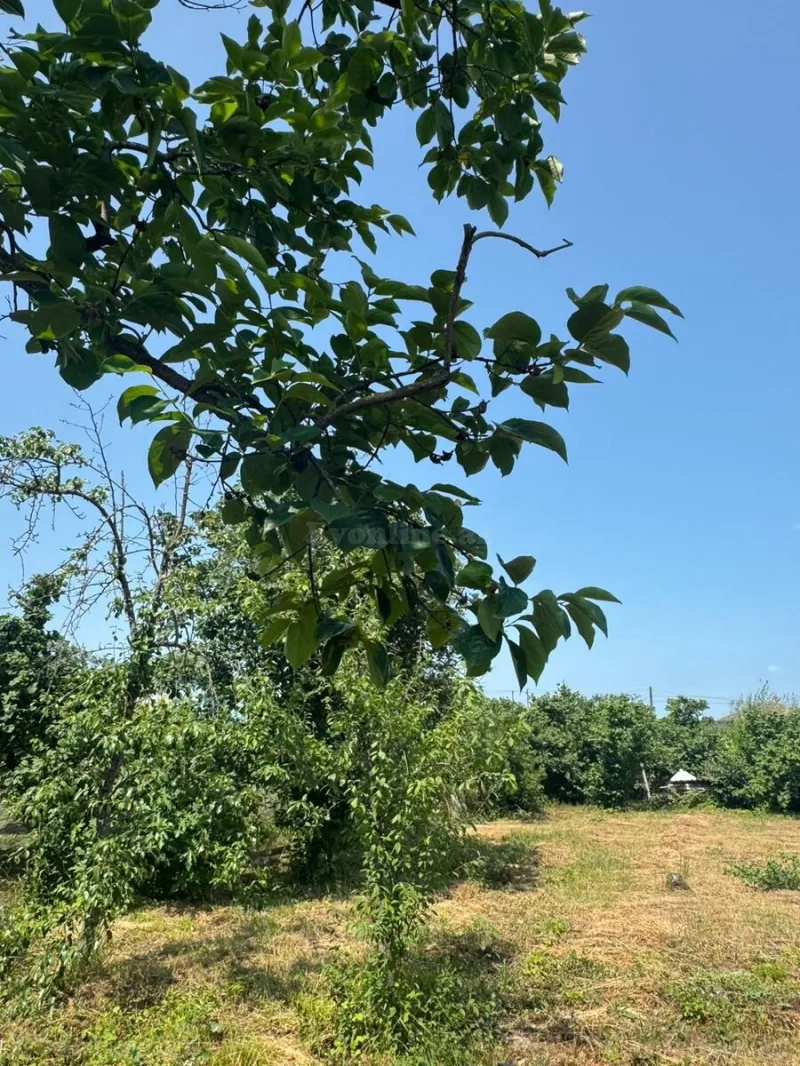 Satılır Torpaq 12 sot Xaçmaz - şəkil 9