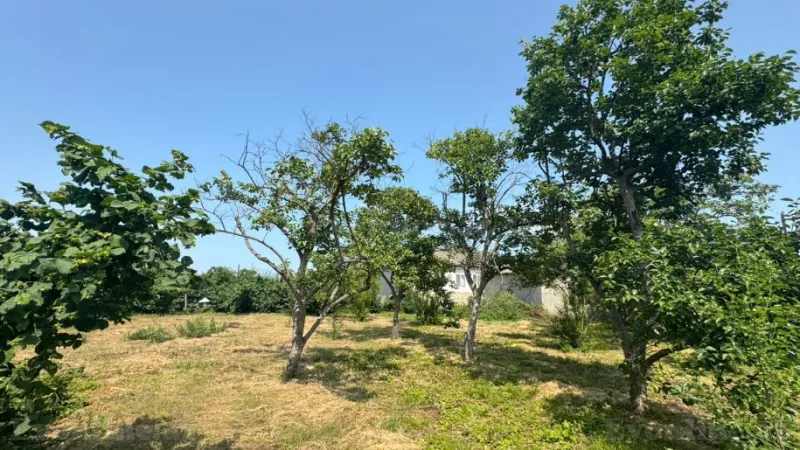 Satılır Torpaq 12 sot Xaçmaz - şəkil 16