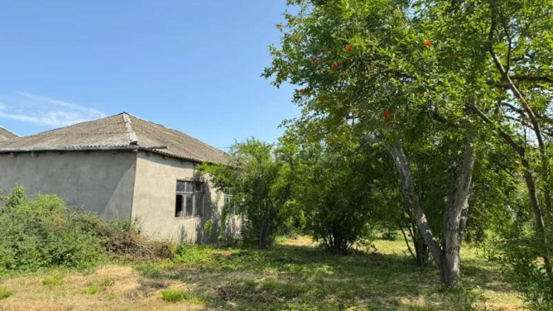 Satılır Torpaq 12 sot Xaçmaz - şəkil 17