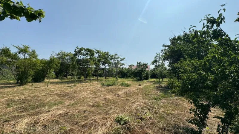 Satılır Torpaq 12 sot Xaçmaz - şəkil 18