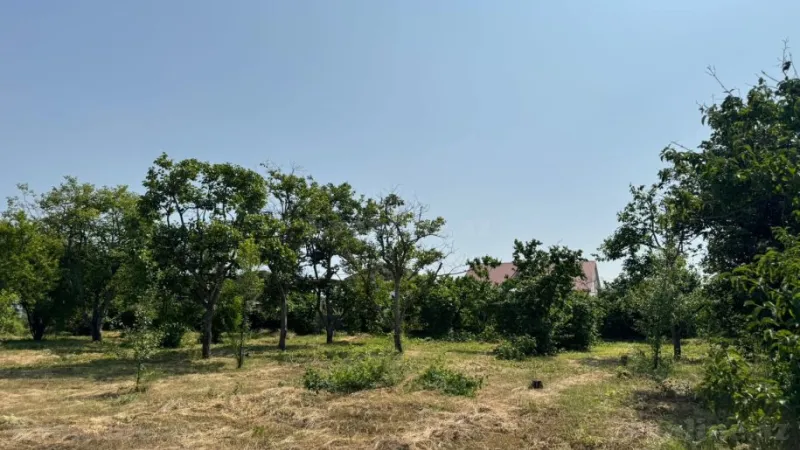 Satılır Torpaq 12 sot Xaçmaz - şəkil 20