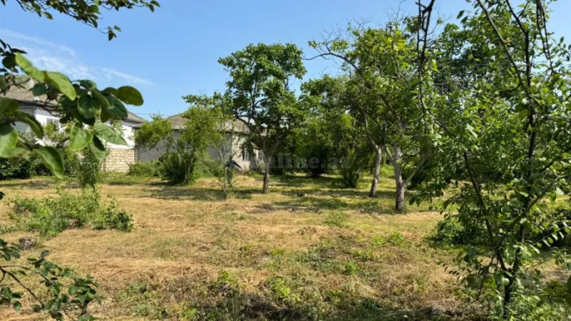 Satılır Torpaq 12 sot Xaçmaz - şəkil 21