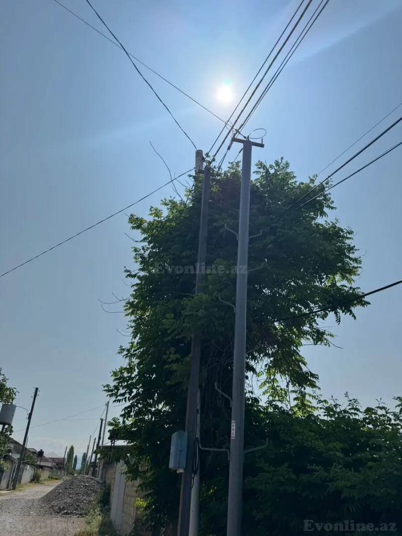 Satılır Torpaq 12 sot Xaçmaz - şəkil 23