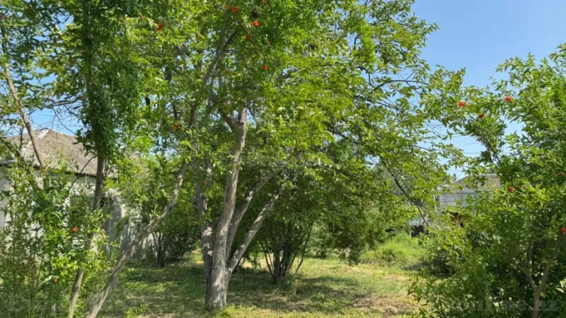 Satılır Torpaq 12 sot Xaçmaz - şəkil 27