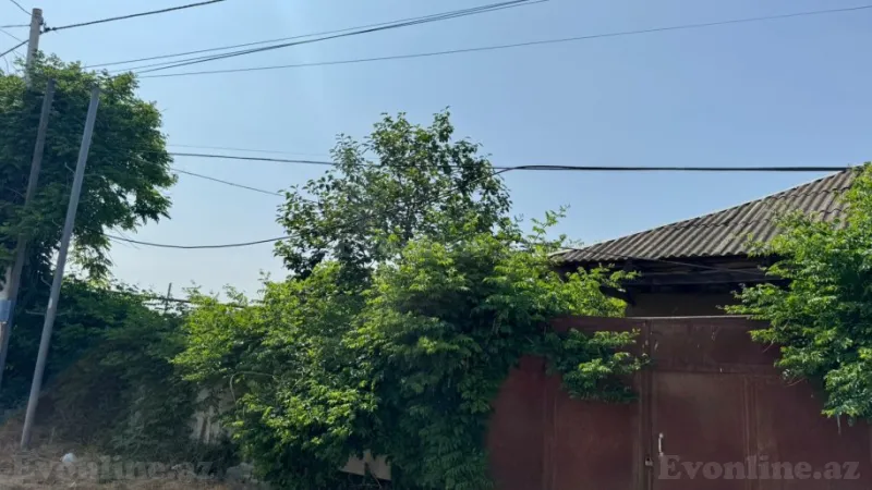 Satılır Torpaq 12 sot Xaçmaz - şəkil 28