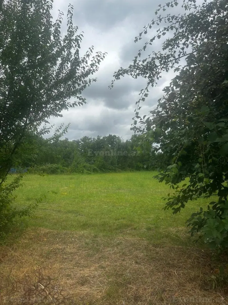 Satılır Torpaq 24 sot Qusar - şəkil 2