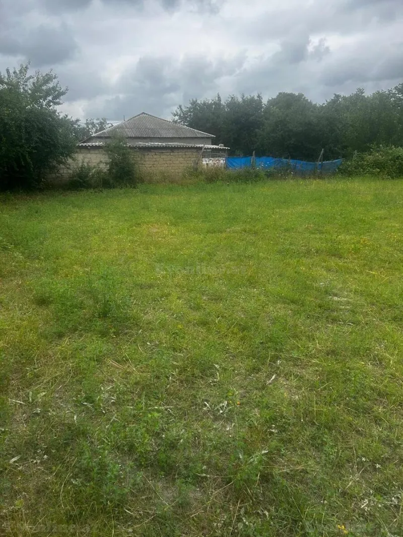 Satılır Torpaq 24 sot Qusar - şəkil 3