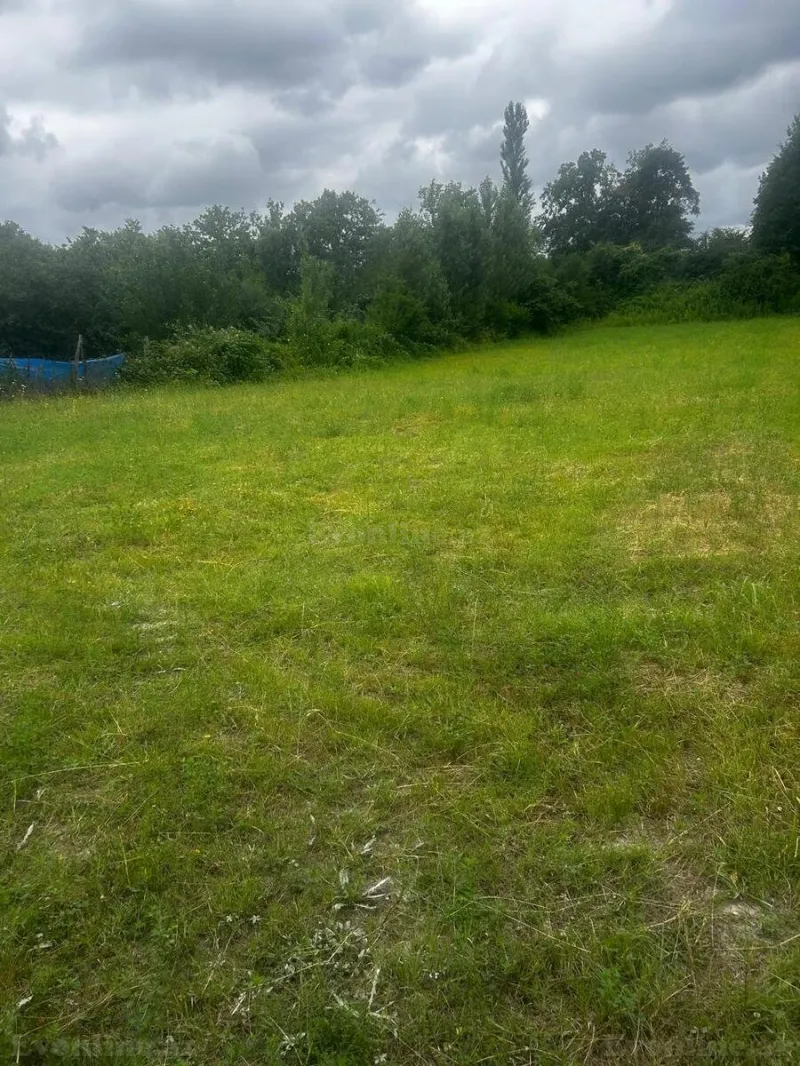 Satılır Torpaq 24 sot Qusar - şəkil 4