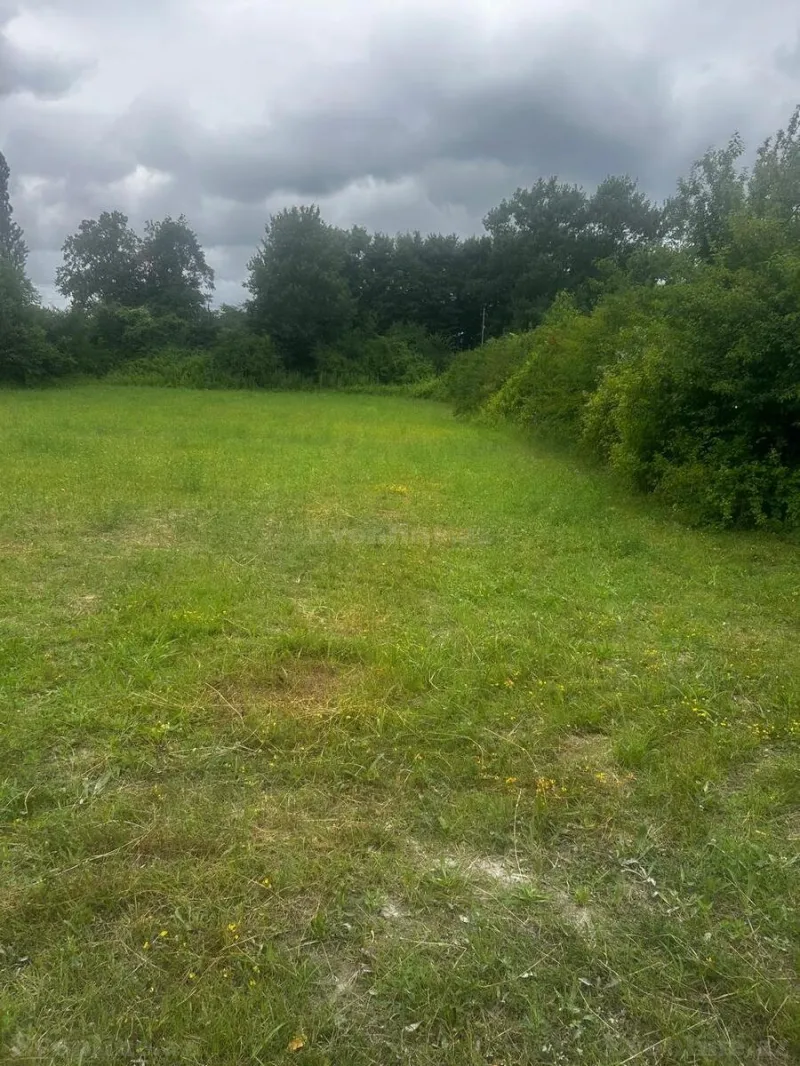 Satılır Torpaq 24 sot Qusar - şəkil 7