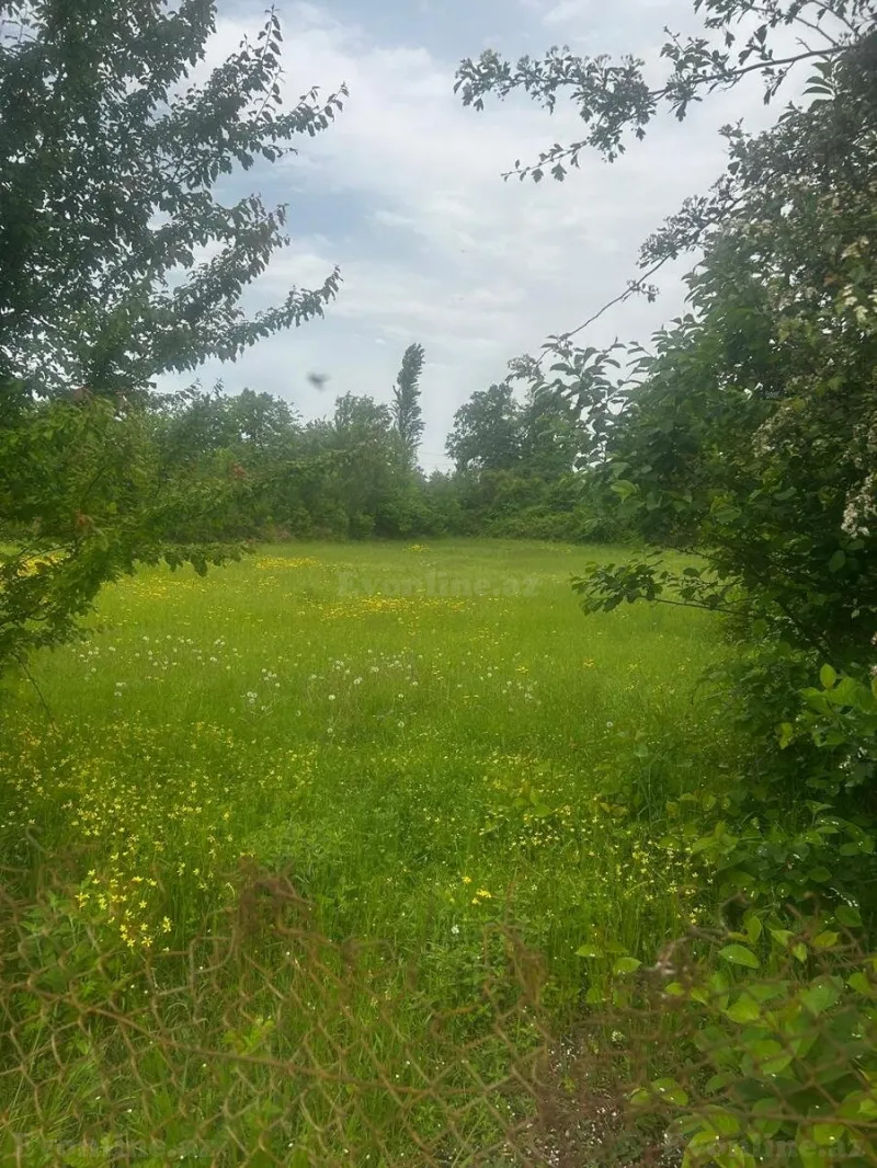 Satılır Torpaq 24 sot Qusar - şəkil 12