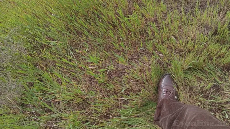 Satılır Torpaq 3 sot Səbail r. - şəkil 3