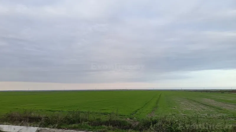 Satılır Torpaq 540 sot Şabran