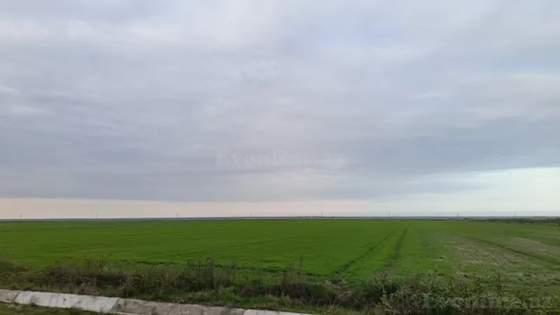 Satılır Torpaq 540 sot Şabran - şəkil 2