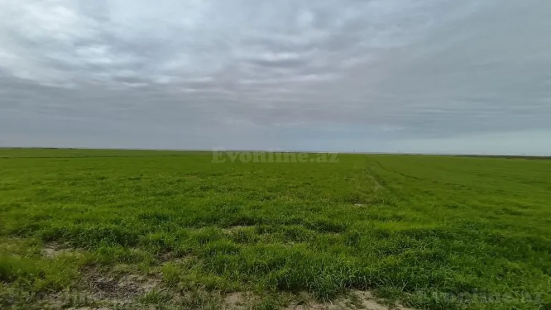 Satılır Torpaq 540 sot Şabran - şəkil 5