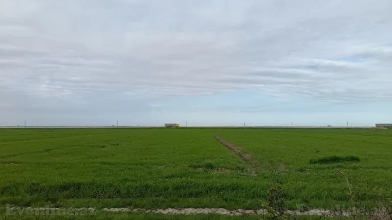 Satılır Torpaq 540 sot Şabran - şəkil 6