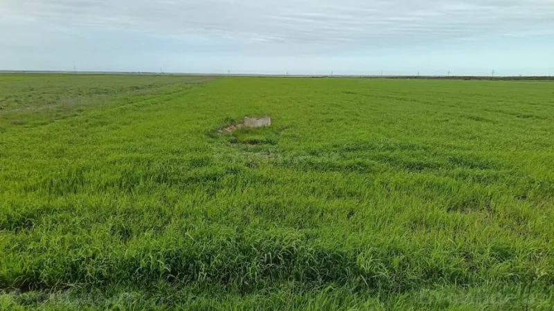 Satılır Torpaq 540 sot Şabran - şəkil 9