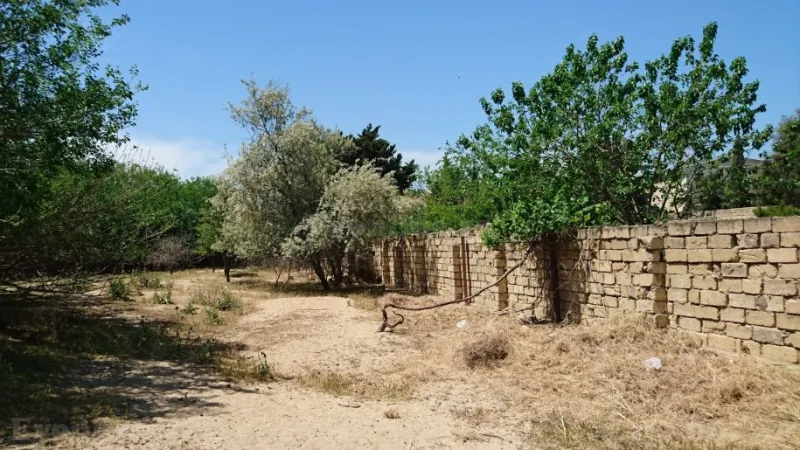Satılır Torpaq 25 sot Görədil - şəkil 2