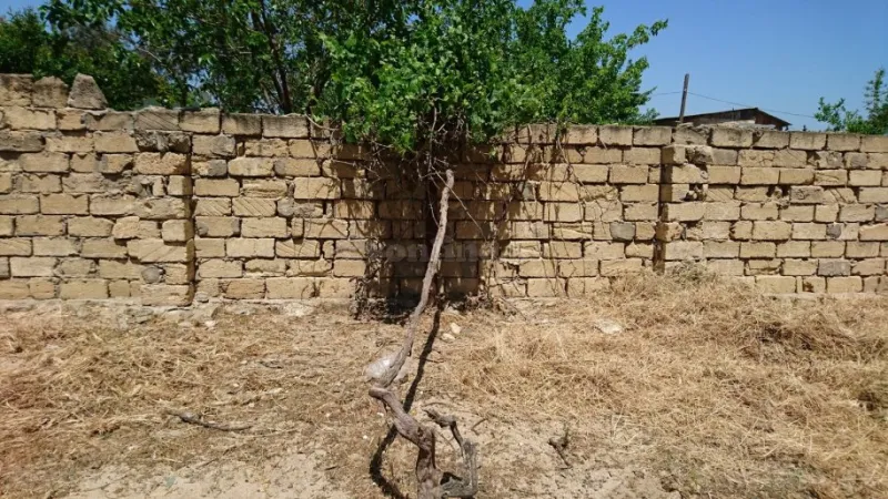 Satılır Torpaq 25 sot Görədil - şəkil 3