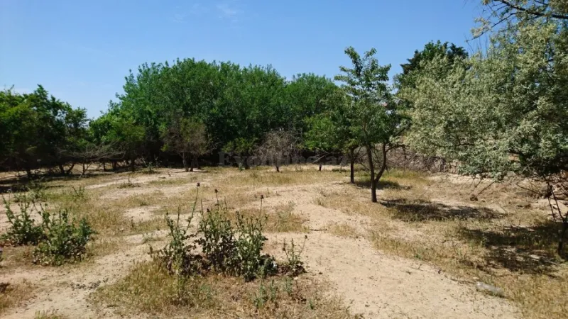 Satılır Torpaq 25 sot Görədil - şəkil 5