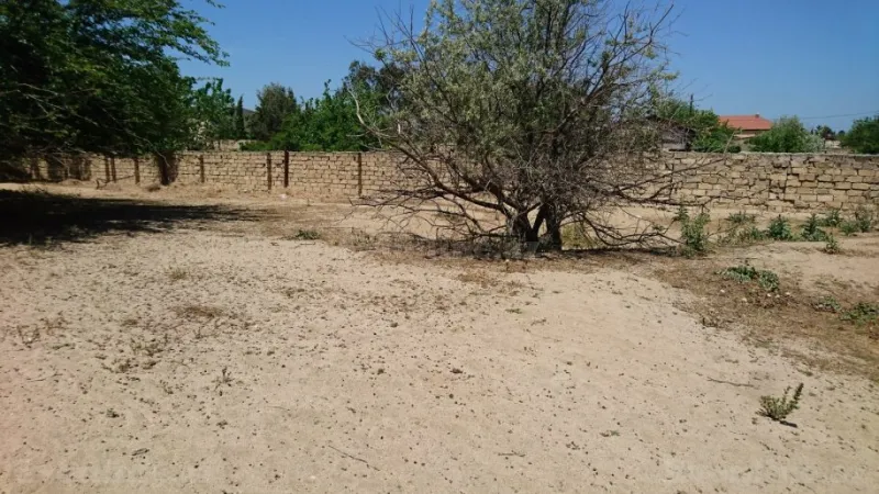 Satılır Torpaq 25 sot Görədil - şəkil 7