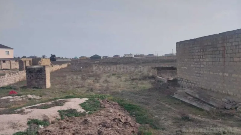 Satılır Torpaq 10 sot Türkan - şəkil 3