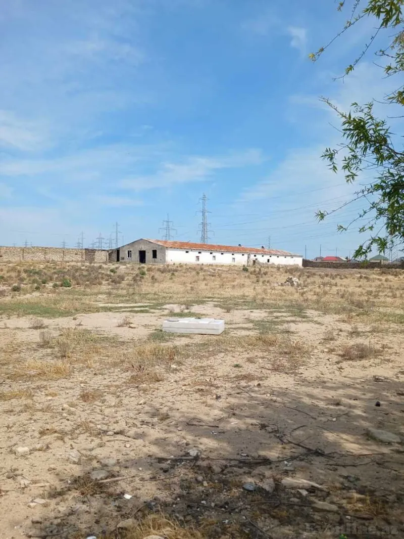 Satılır Torpaq 60 sot Qala - şəkil 3