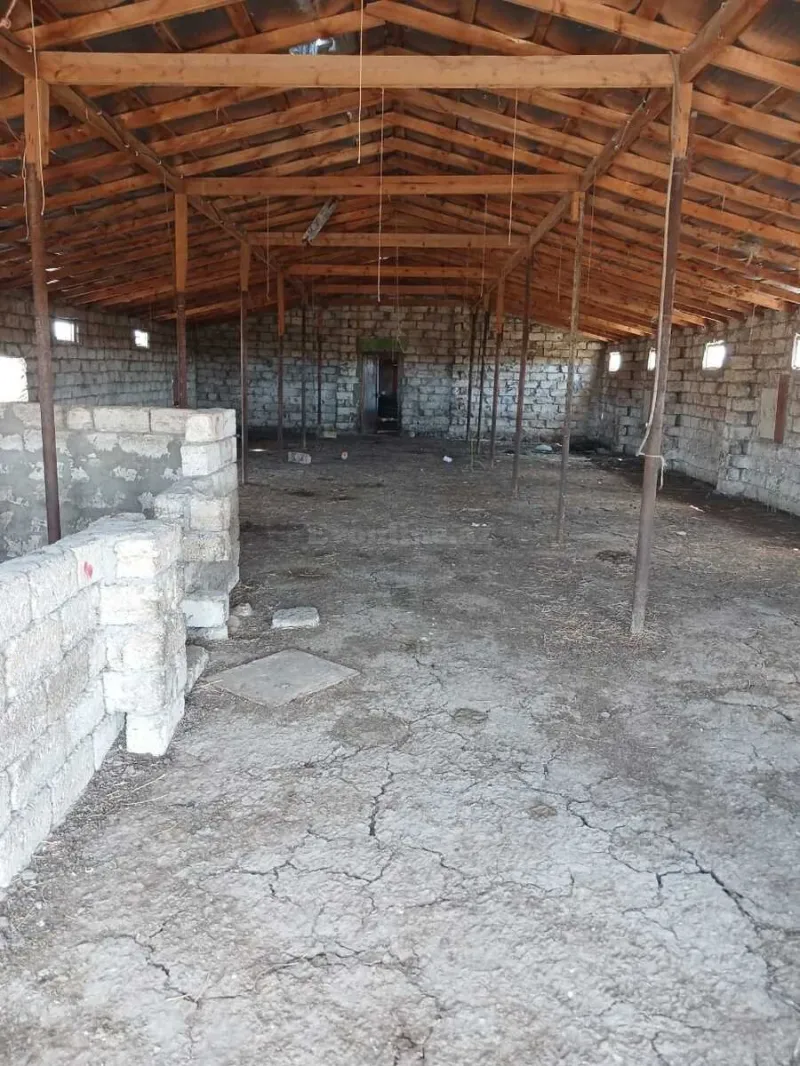 Satılır Torpaq 60 sot Qala - şəkil 4