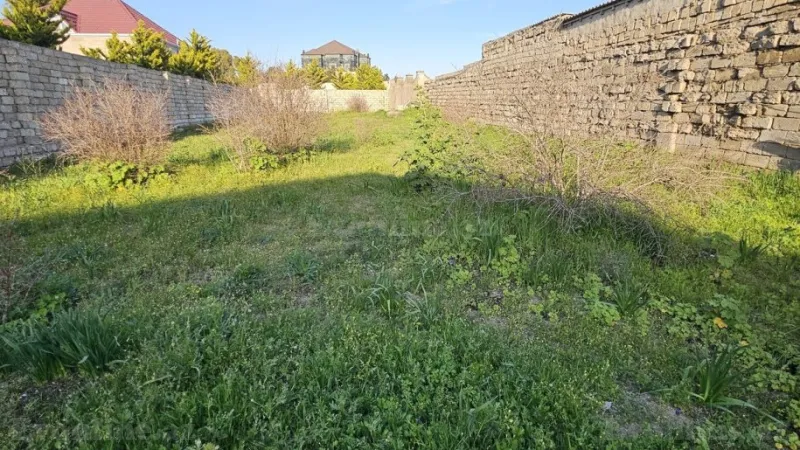 Torpaq Şüvəlan Satılır