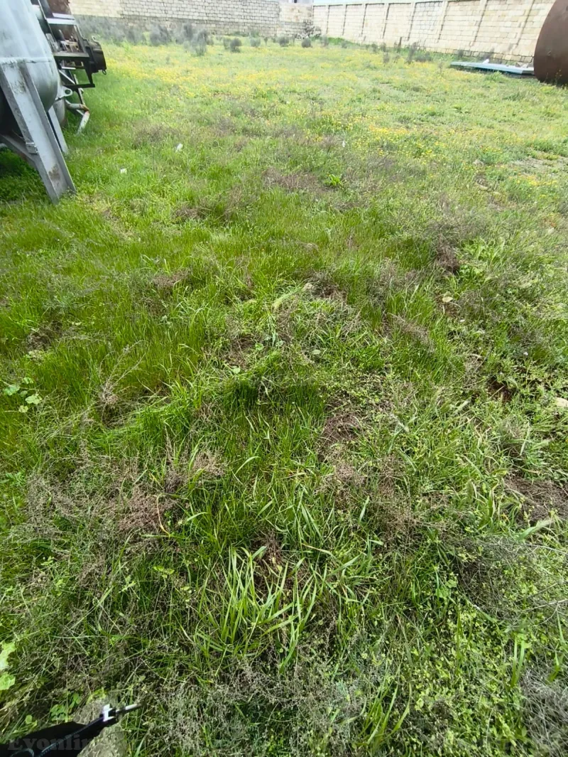 Satılır Torpaq 10 sot Məhəmmədi - şəkil 3