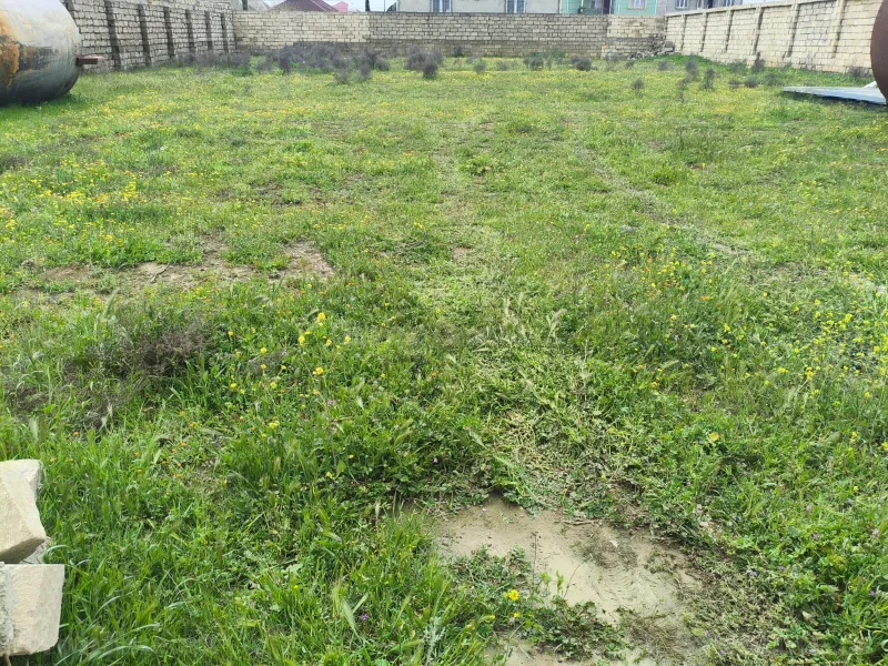 Satılır Torpaq 10 sot Məhəmmədi - şəkil 5