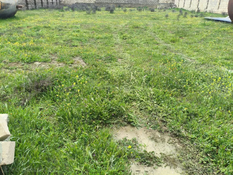 Satılır Torpaq 10 sot Məhəmmədi - şəkil 6