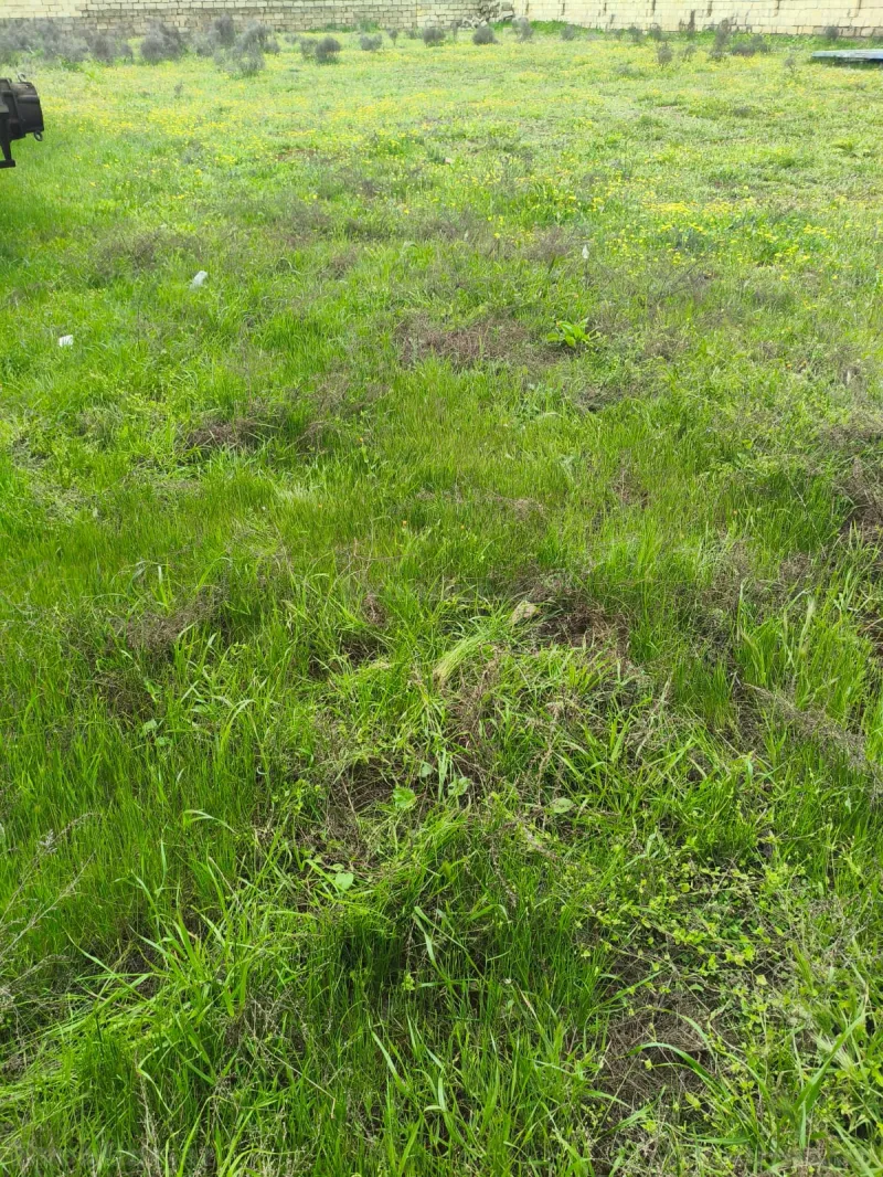 Satılır Torpaq 10 sot Məhəmmədi - şəkil 7