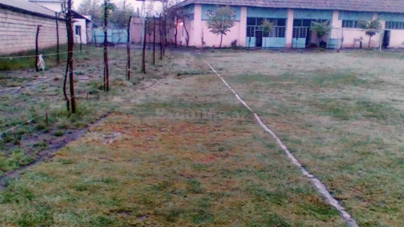 Satılır Obyekt 2500 m² Zaqatala - şəkil 13