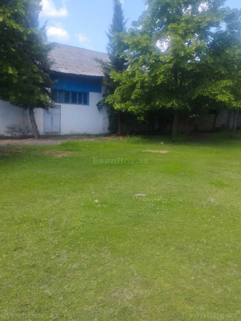 Satılır Obyekt 2500 m² Zaqatala - şəkil 19