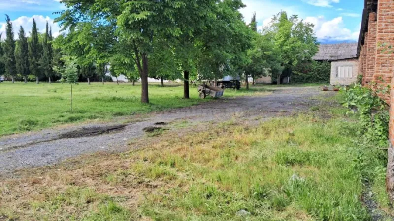 Satılır Obyekt 2500 m² Zaqatala - şəkil 20