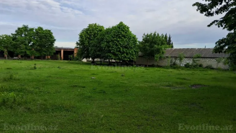 Satılır Obyekt 2500 m² Zaqatala - şəkil 21
