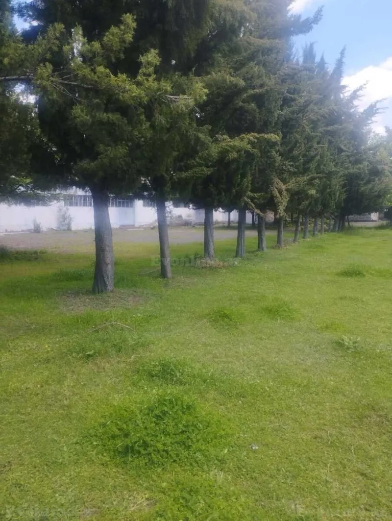 Satılır Obyekt 2500 m² Zaqatala - şəkil 24