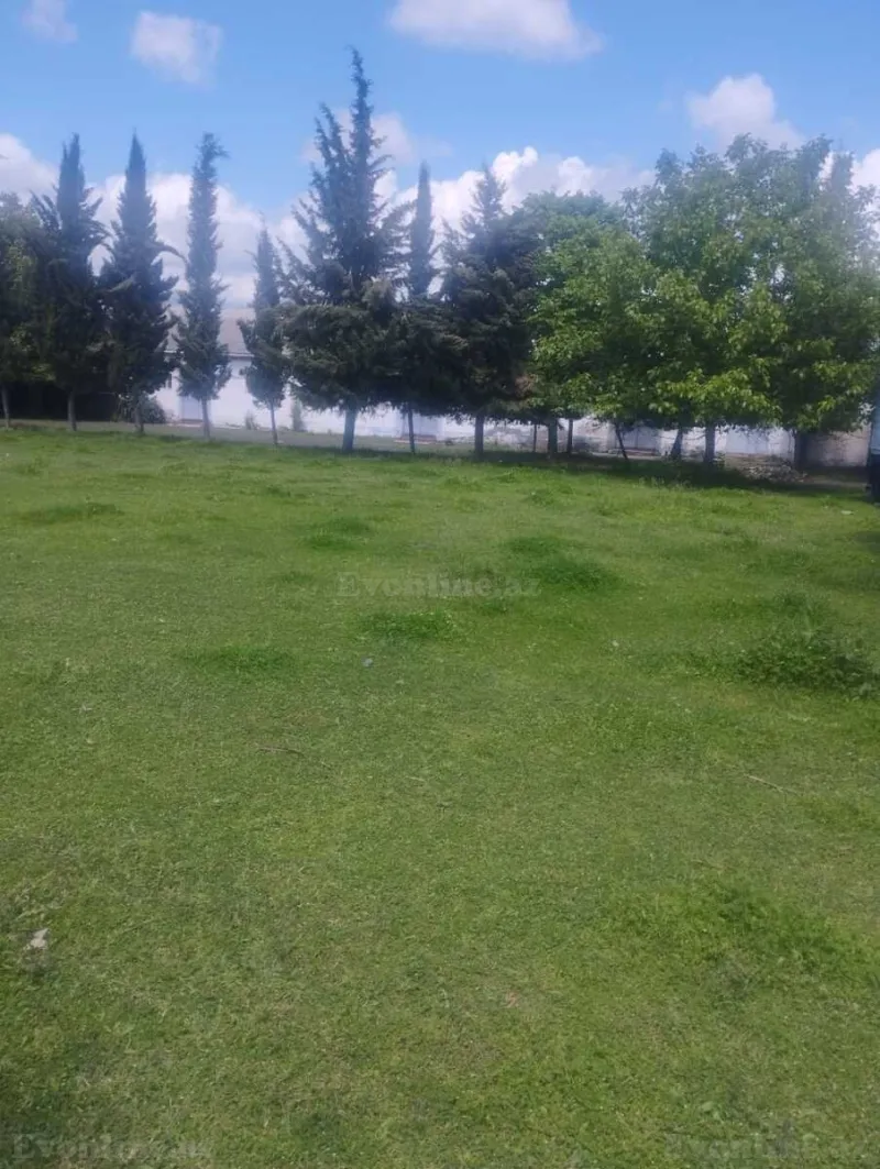 Satılır Obyekt 2500 m² Zaqatala - şəkil 25