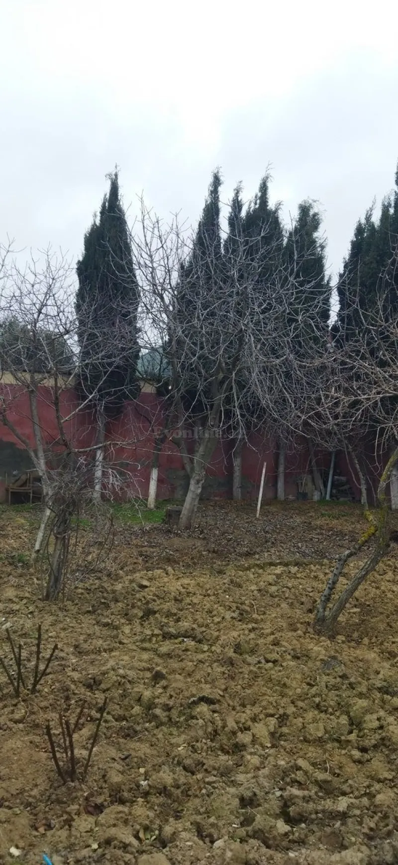 Torpaq Xəzər r. Satılır