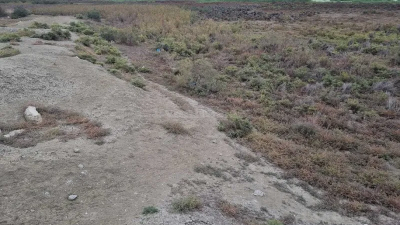 Torpaq Binəqədi Satılır