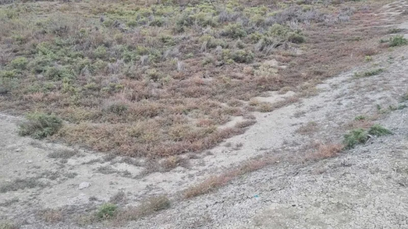 Satılır Torpaq 2000 sot Binəqədi - şəkil 5