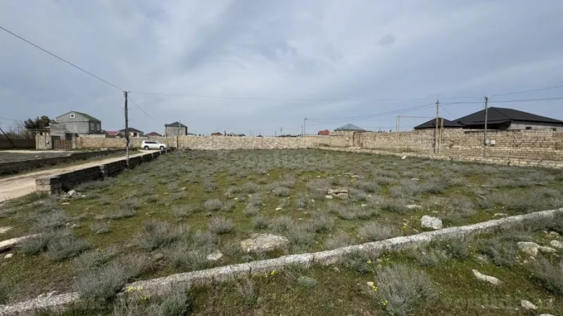 Satılır Torpaq 10 sot Türkan - şəkil 4